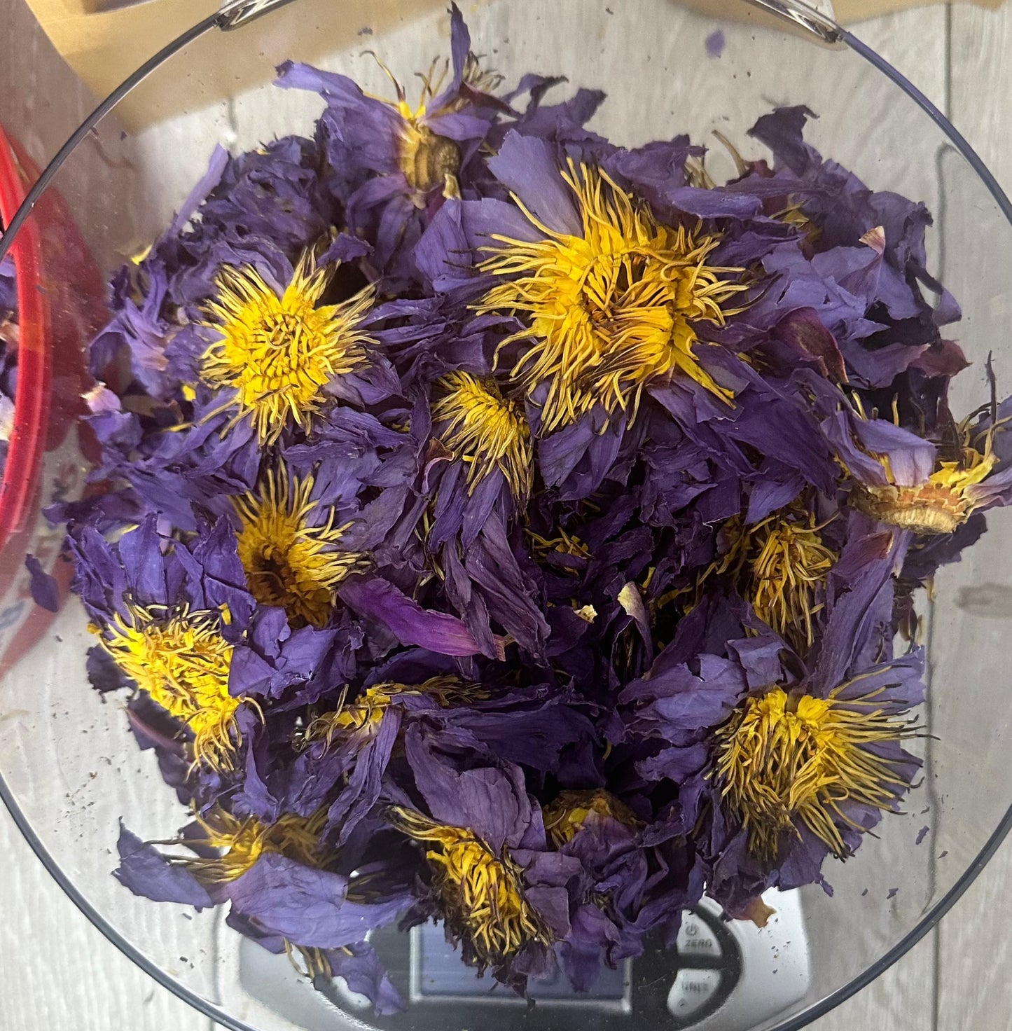 Blue Lotus Flowers - Nymphaea Caerulea Organic