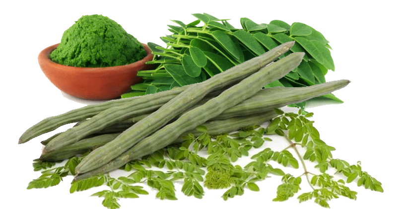 Organic Moringa Oleifera Leaf Powder