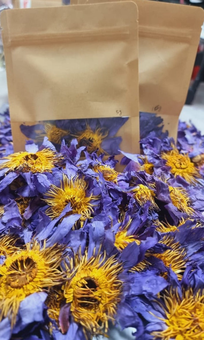 Blue Lotus Flowers - Nymphaea Caerulea Organic