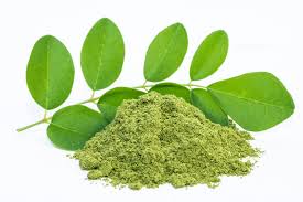 Organic Moringa Oleifera Leaf Powder