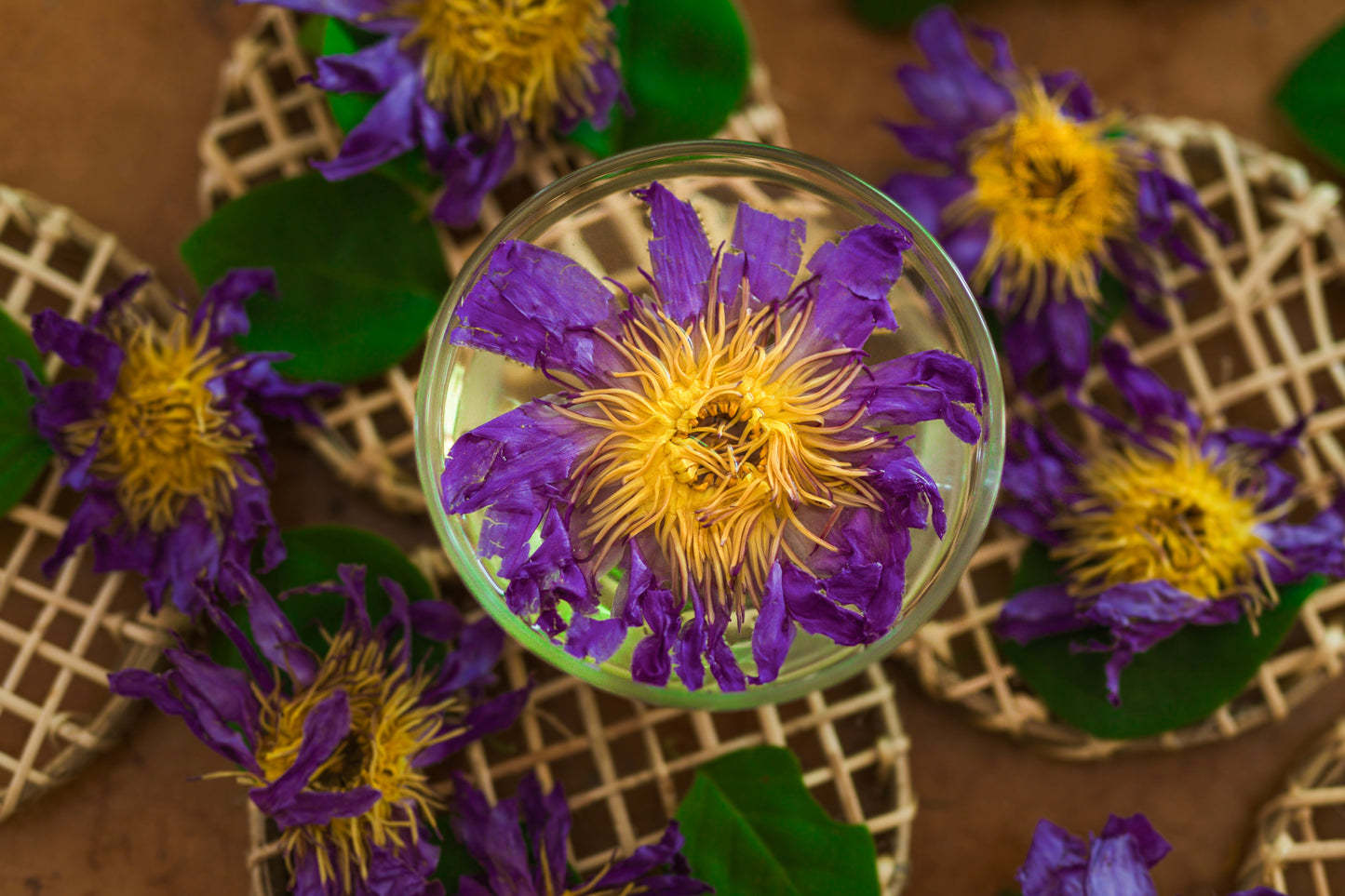 Blue Lotus Flowers - Nymphaea Caerulea Organic
