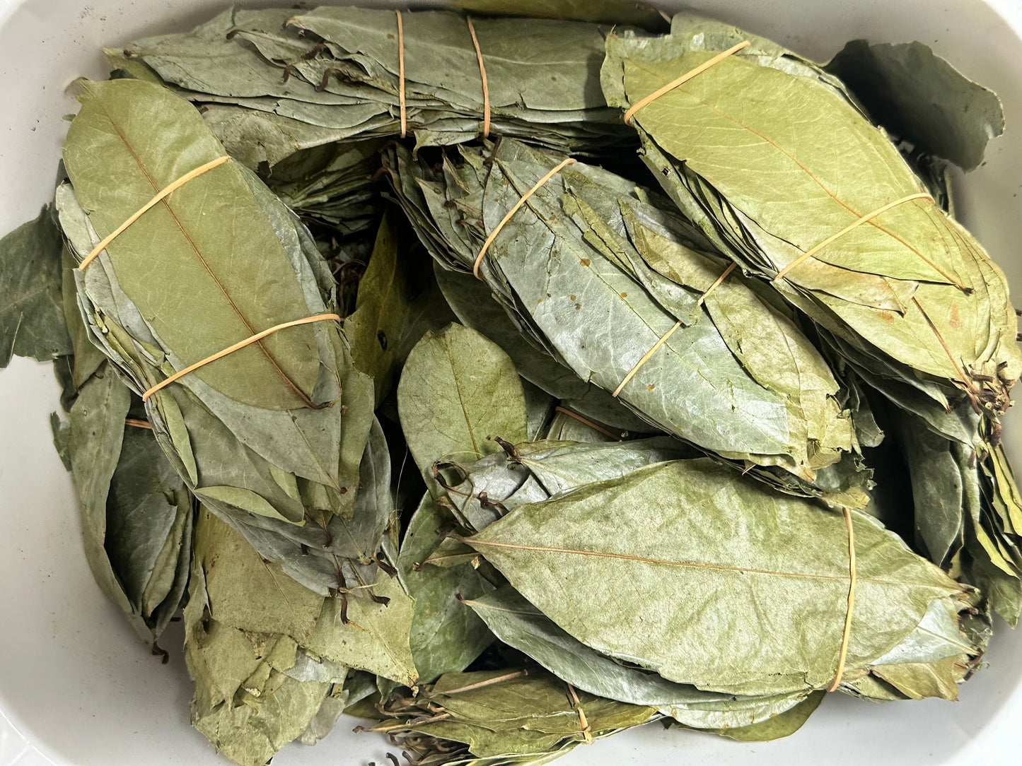Soursop Leaves Guanabana Graviola Guyabano Leaves