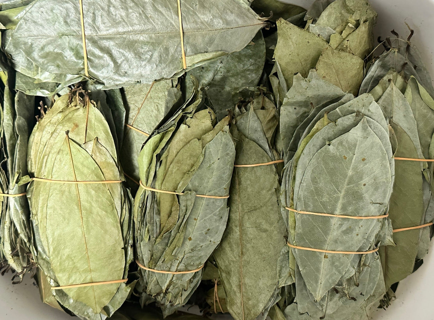 Soursop Leaves Guanabana Graviola Guyabano Leaves